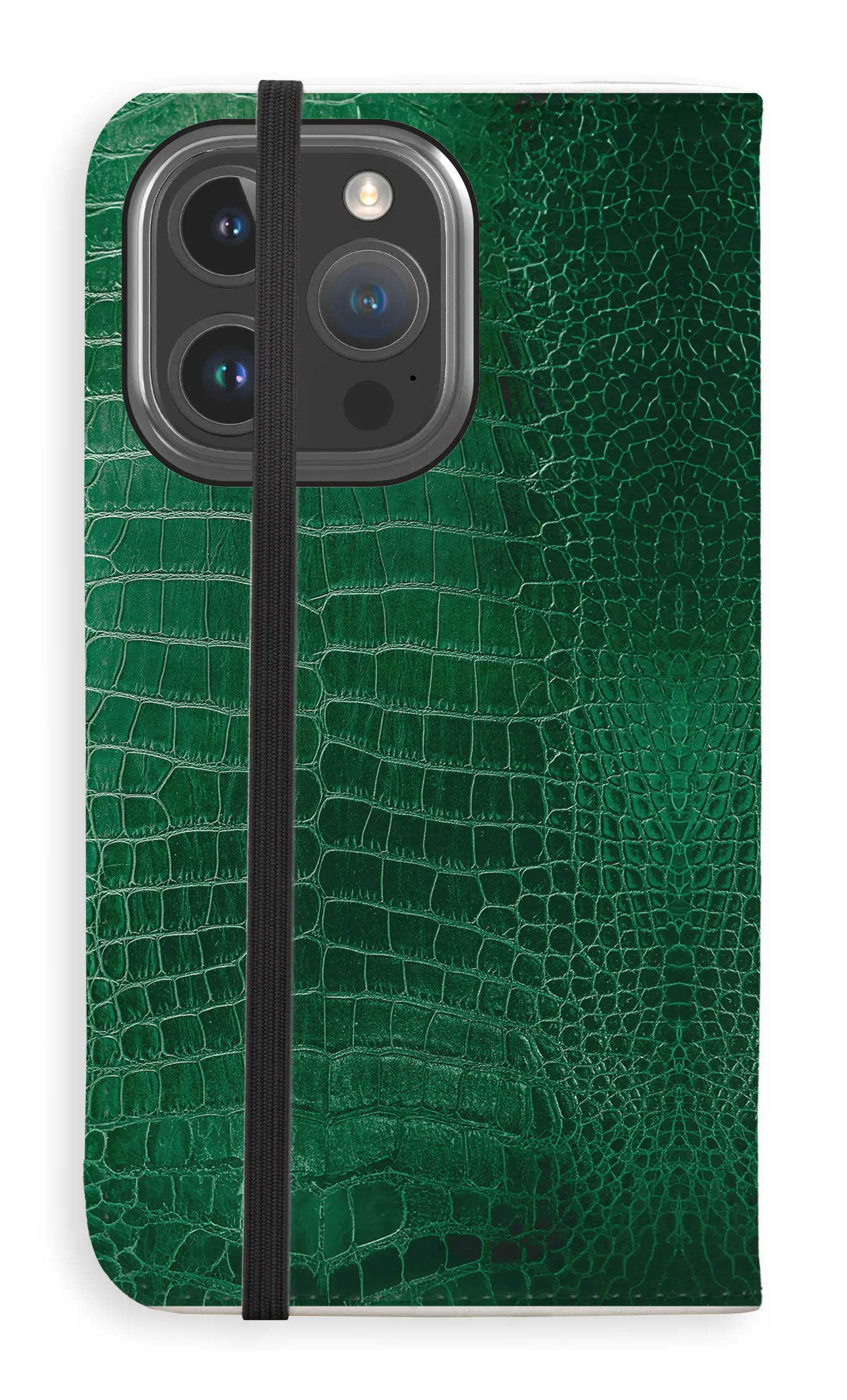 Everyday Fit Scales & Scandals Folio Case